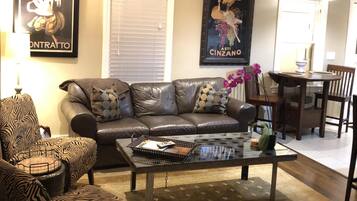 TV, DVD player, books, video library