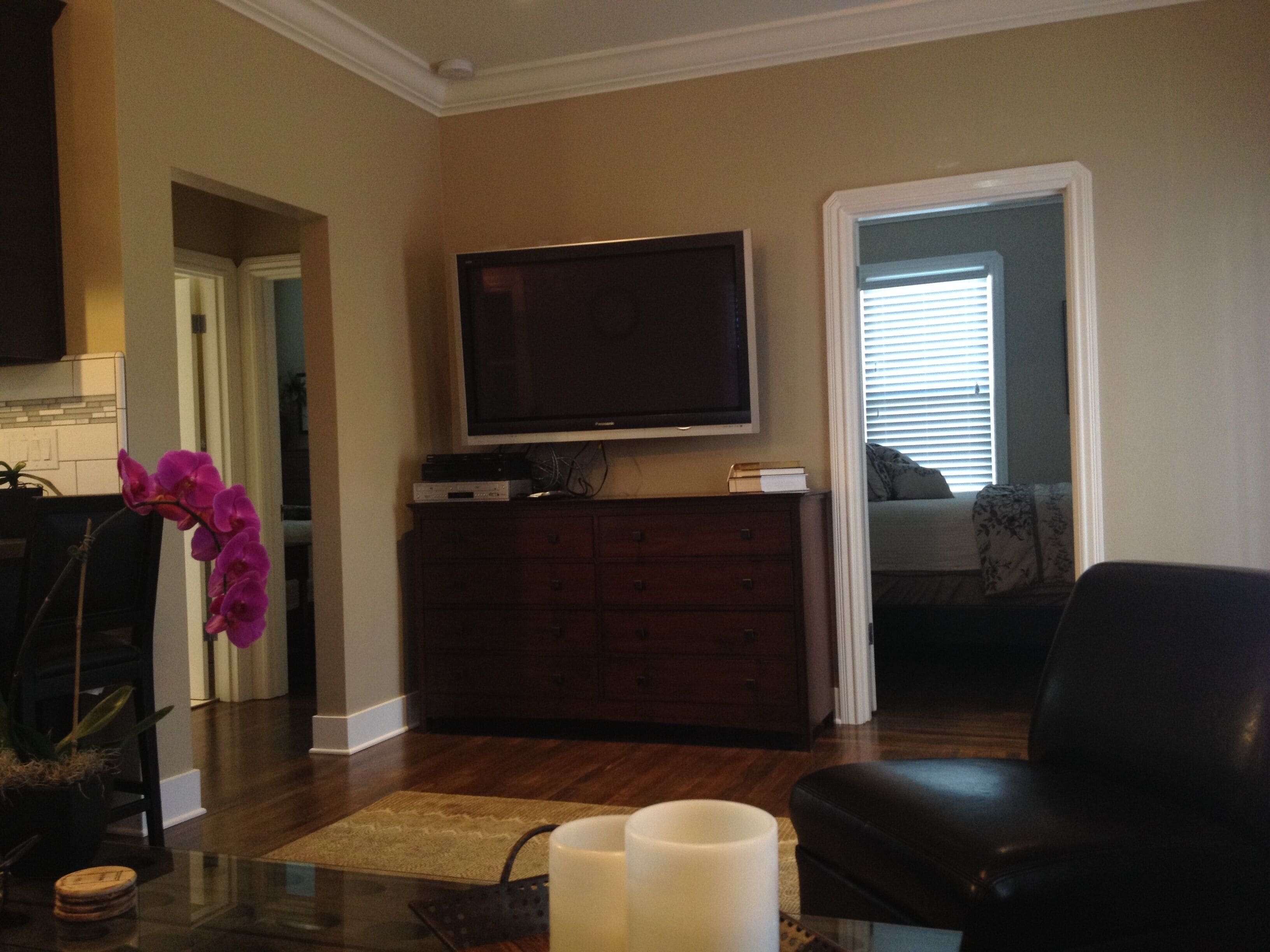 TV, DVD player, books, video library