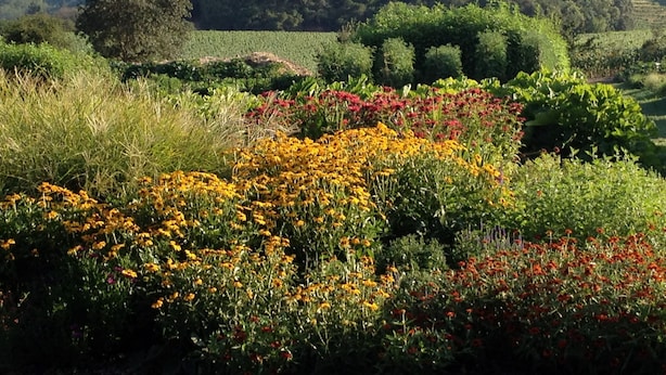 Ein Garten mit verschiedenen Blumen und Bäumen, umgeben von Hügeln.