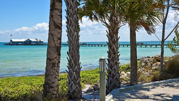 A wooden boardwalk with palm trees, a pier extending into the water, and a building with a flag.