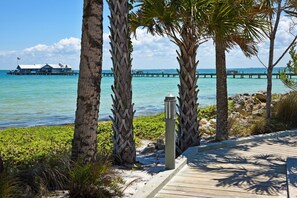 A wooden boardwalk with palm trees, a pier extending into the water, and a building with a flag.