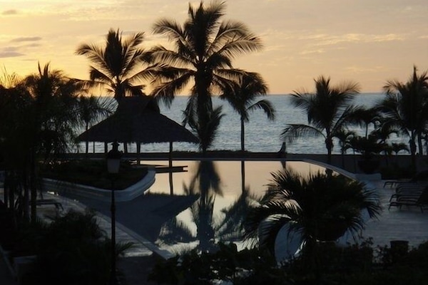 Pool with Swim up Palapa Bar