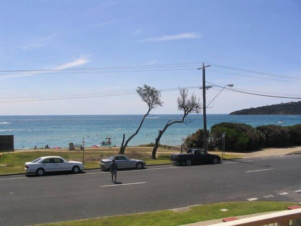 A coastal road with cars and a pedestrian crossing. - ULTIMATE BEACH FRONT HOLIDAY !!!! (Safety Beach)