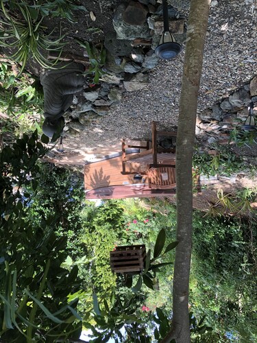 Orquídea en Casa Tre Fiori - ¡Un paraíso tranquilo!