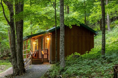 Cabin in the woods w/ WIFI. >1 mi to Mon. Forest