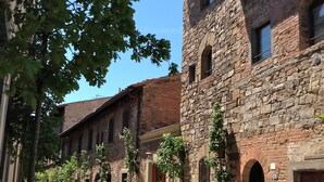 Une rue étroite bordée de bâtiments en pierre, dont certains présentent des fenêtres et des portes en arc de cercle, ainsi que des plantes en pot le long du trottoir.
