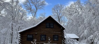 Log Cabin In The Woods