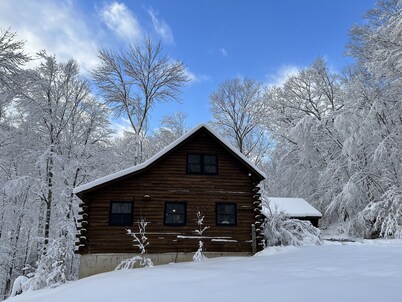 Log Cabin In The Woods