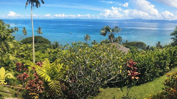 Paisagem tropical com piscina, vegetação exuberante e vista para o oceano.