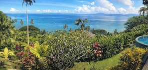 A tropical landscape with a pool, lush greenery, and a view of the ocean.