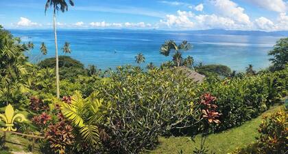 luxury Oceanview Villa - Complete Privacy, "Blue Bayou" with Starlink.