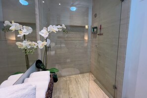 Chuveiro, secador de cabelo, toalhas de banho, sabonete
