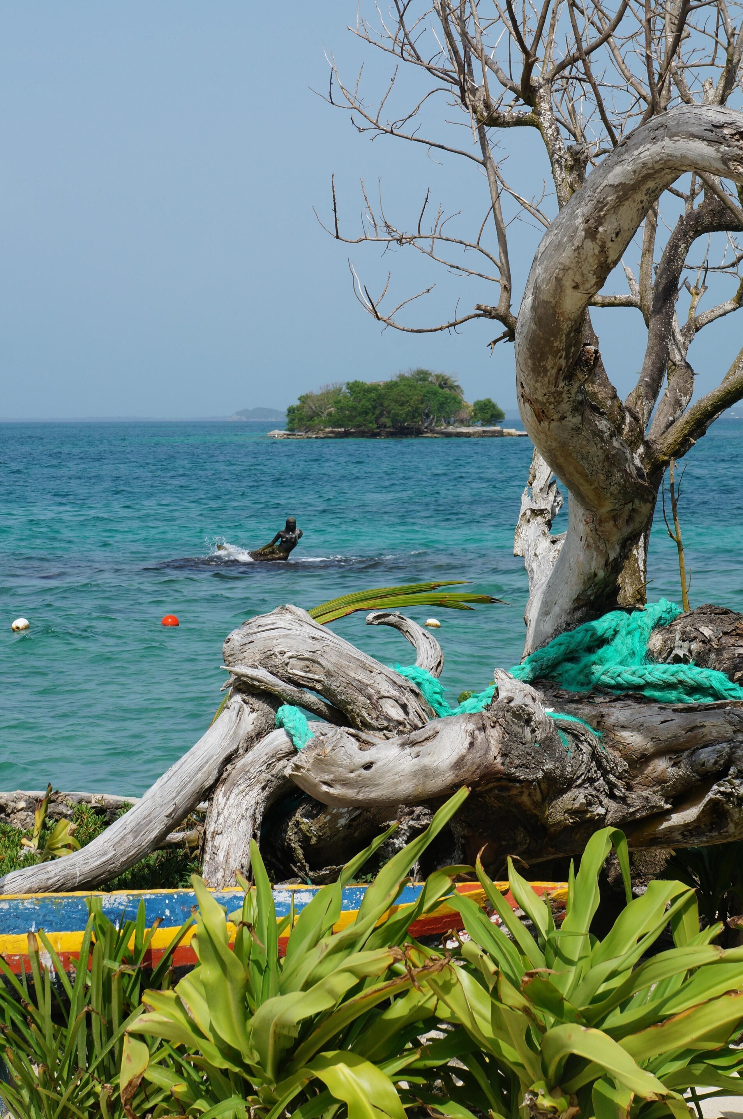 Une scène de plage avec un arbre, une étendue d’eau et une île au loin.