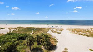 A beach with white sand, clear blue sky, and sparse vegetation.