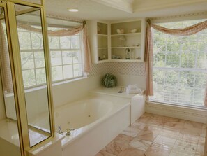Shower, jetted tub, hair dryer, towels