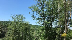 Dos sillas Adirondack y una pequeña mesa dispuestas sobre un sendero de grava, con una ladera boscosa al fondo.