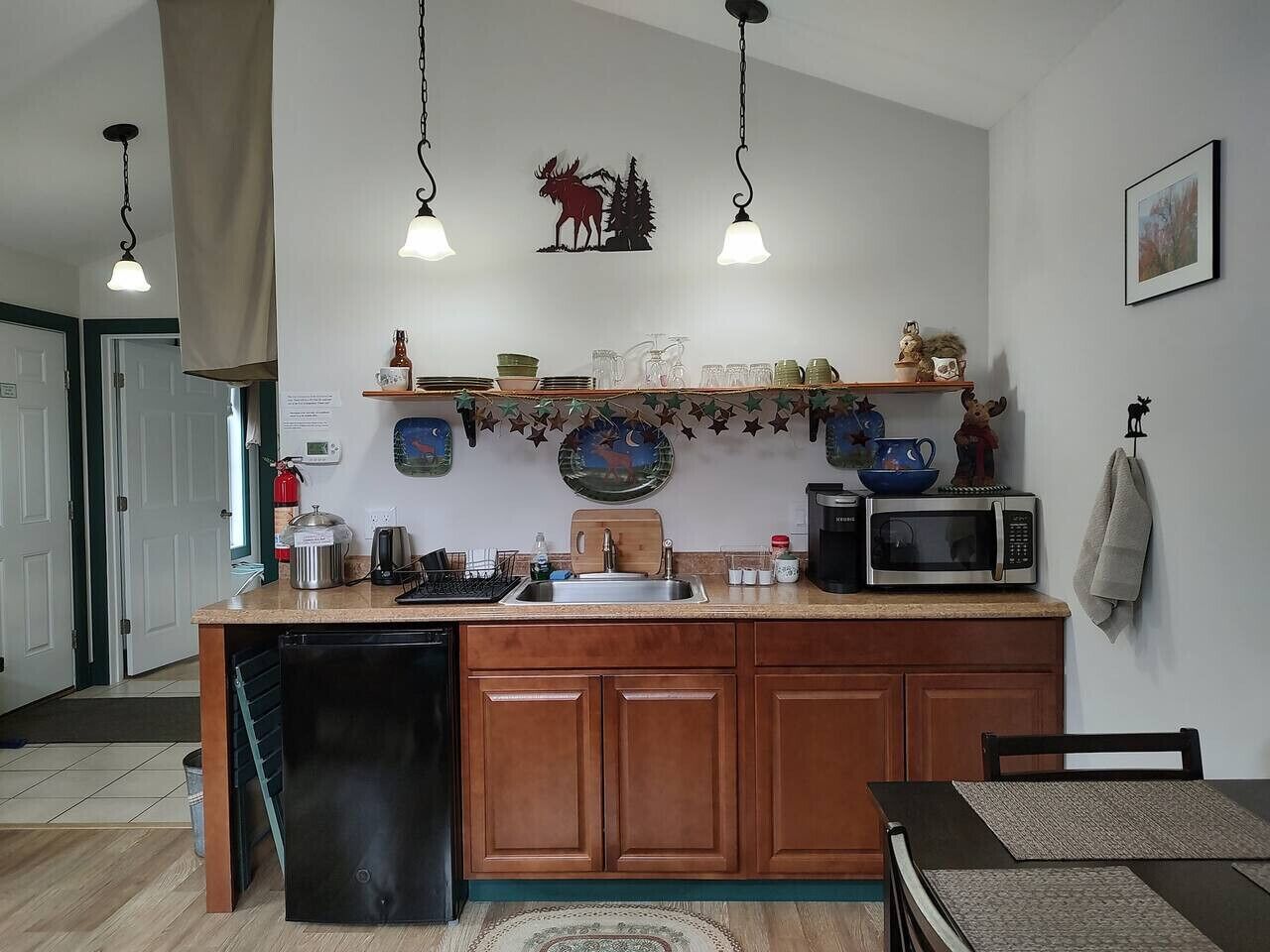 Frigorífic, microones, placa de cuina i cafetera i tetera 