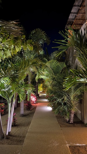 A nighttime pathway flanked by lush tropical plants leading to a building with a thatched roof. - Vista Tortuga Ocean View VILLA-SUNSET Heated Pool by the BEACH (Todos Santos)