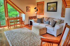 Tv, pejs, dvd-afspiller