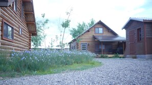 Ulkopuoli