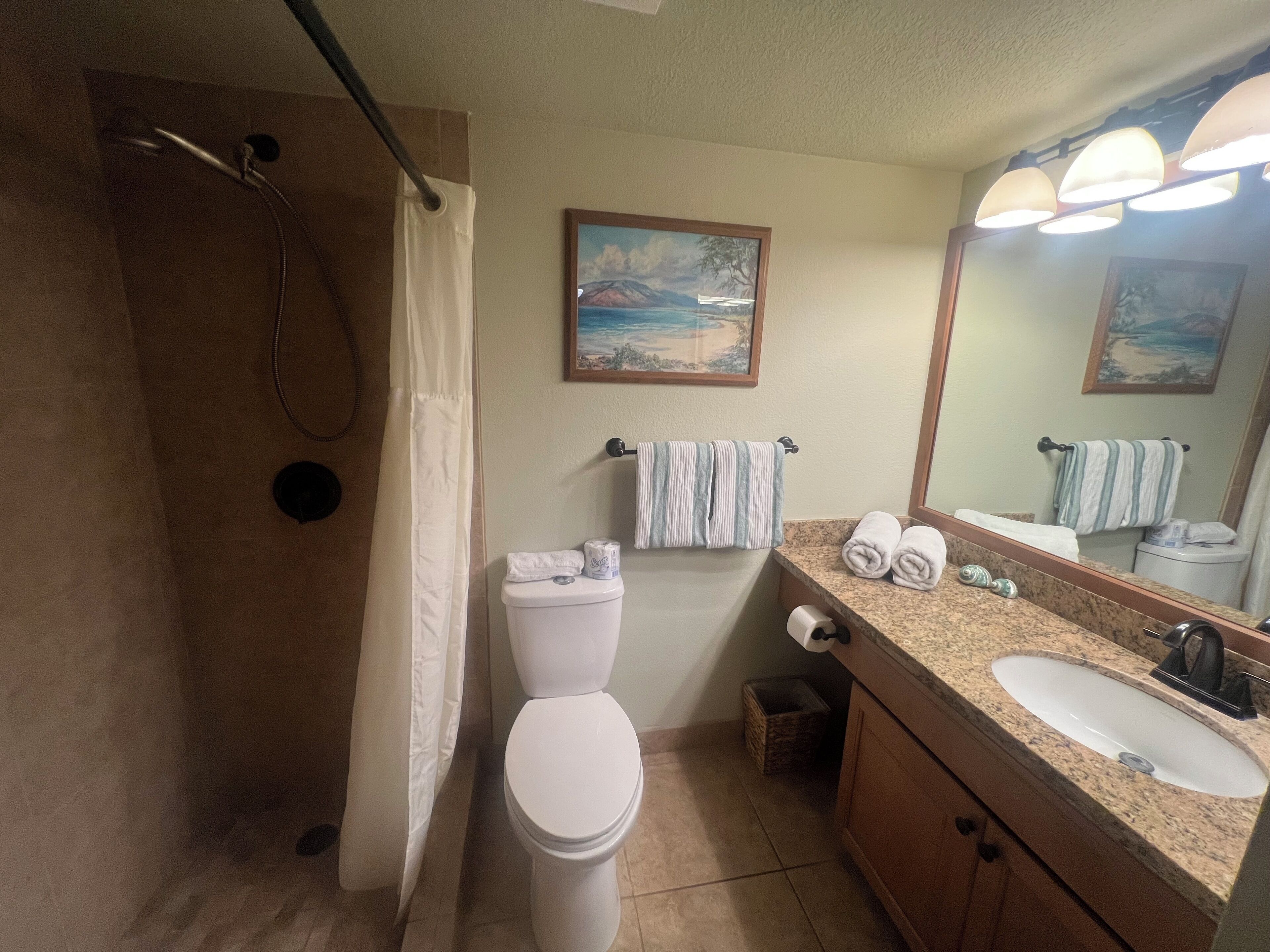 Shower, hair dryer, towels, toilet paper