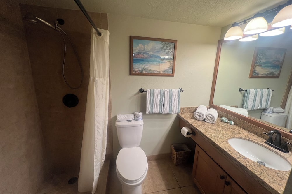 Shower, hair dryer, towels, toilet paper