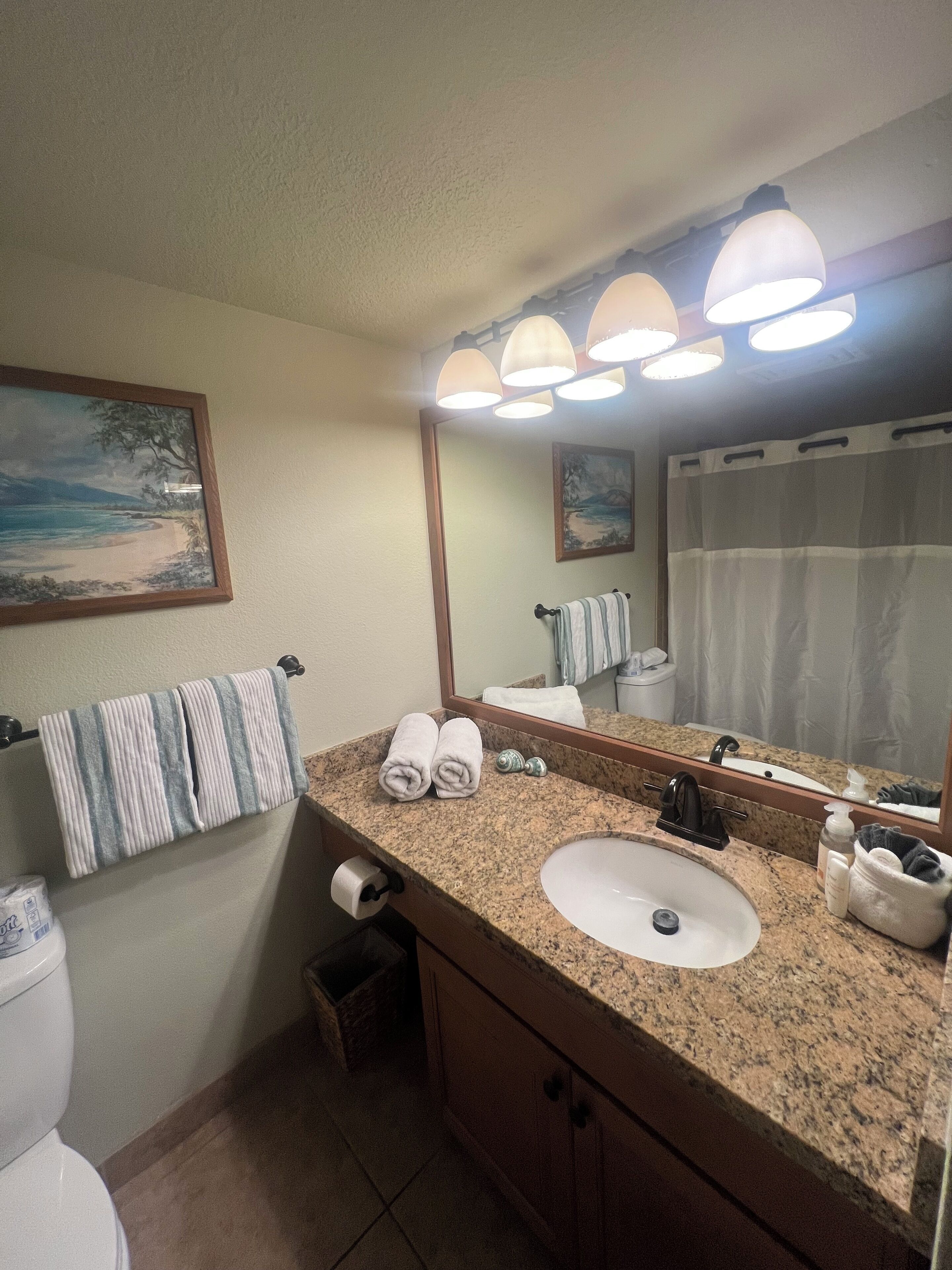 Shower, hair dryer, towels, toilet paper