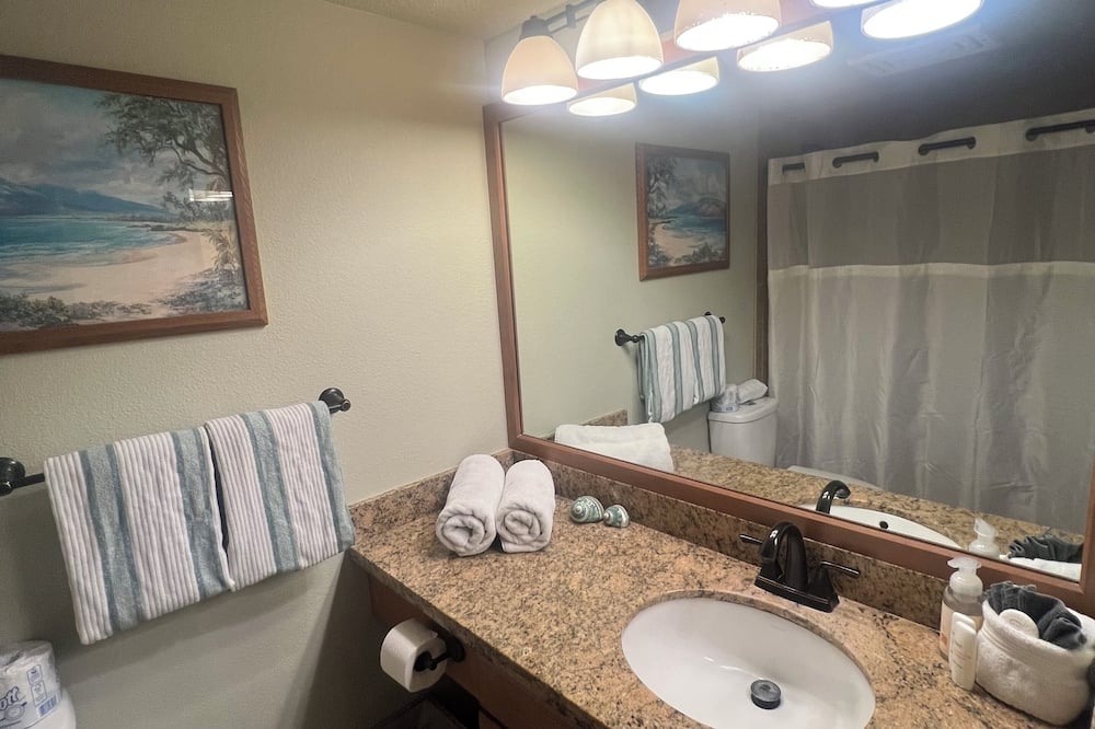 Shower, hair dryer, towels, toilet paper