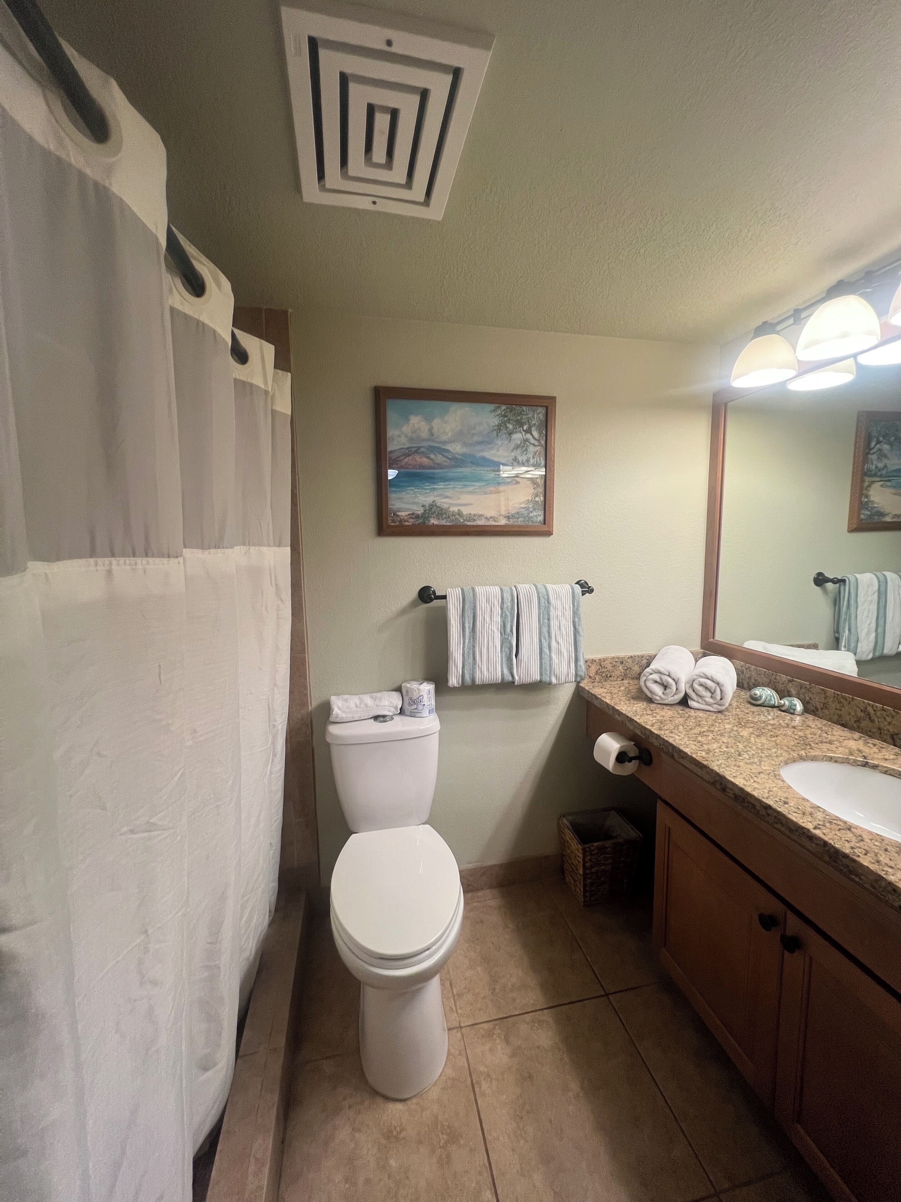 Shower, hair dryer, towels, toilet paper