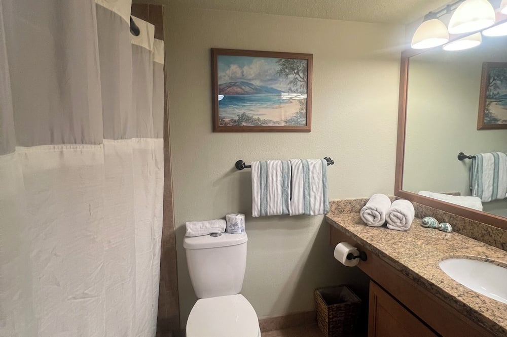 Shower, hair dryer, towels, toilet paper