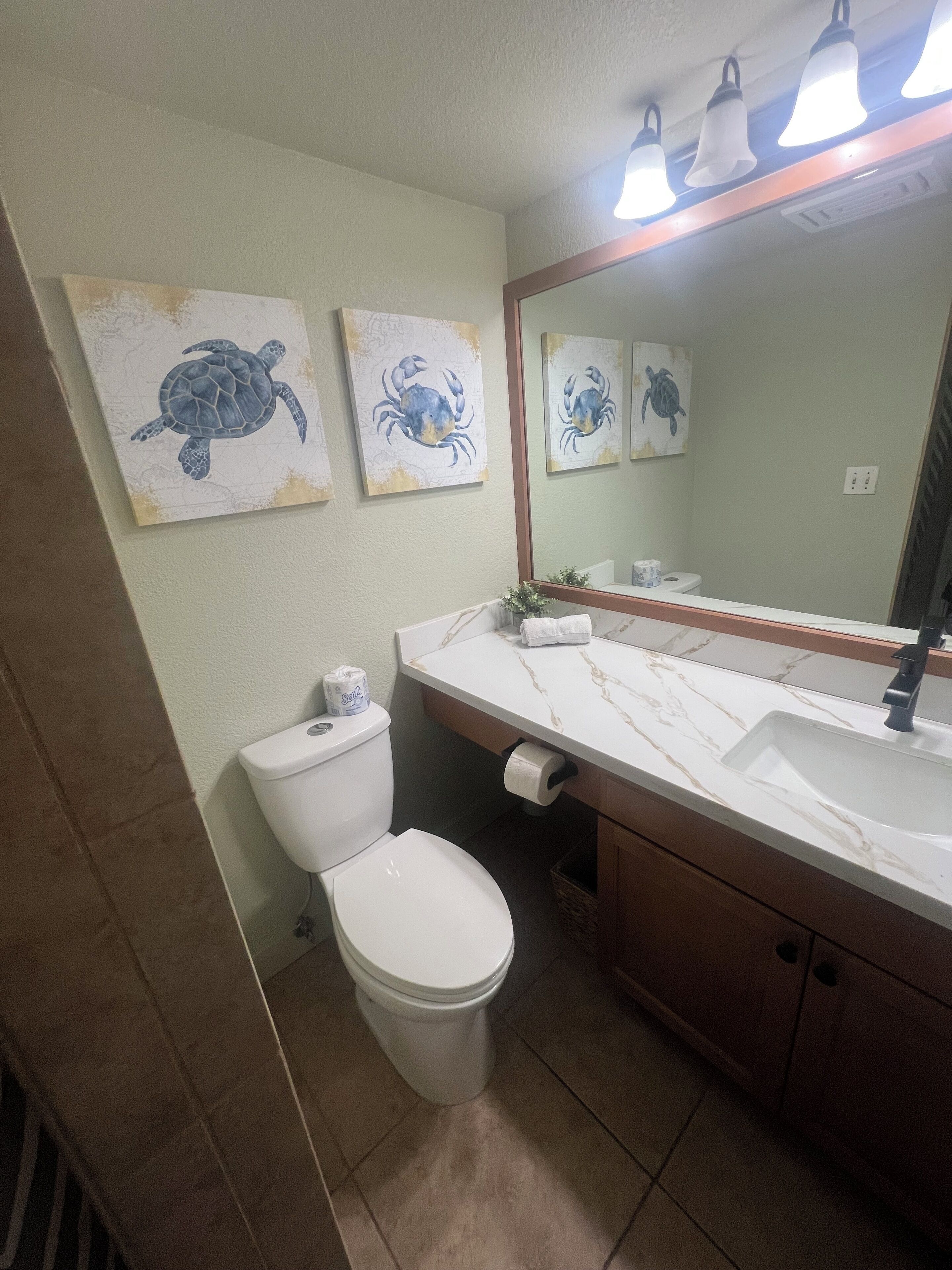 Shower, hair dryer, towels, toilet paper