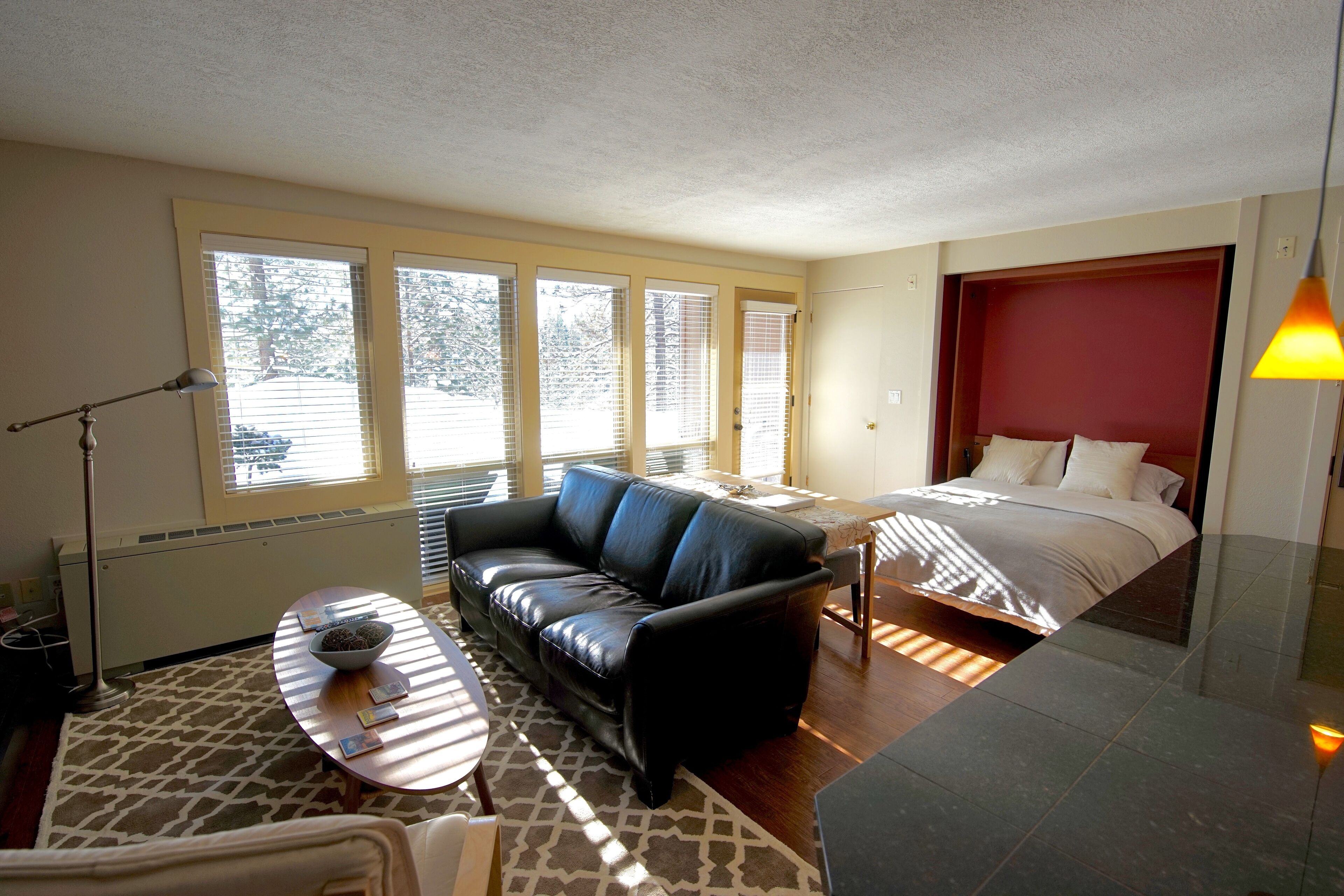 Living room with Murphy bed open
