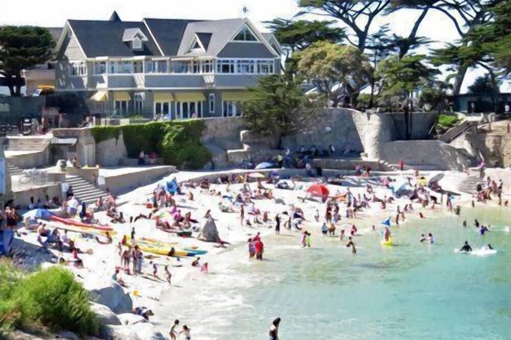 Steps to ocean. Across the street from the Municipal Golf Course. License 0020