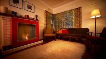 TV, fireplace, books, video library