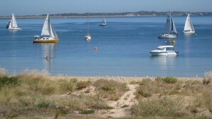 Een kustlandschap met verschillende zeilboten op kalm water, een zandstrand en schaarse begroeiing op de voorgrond.