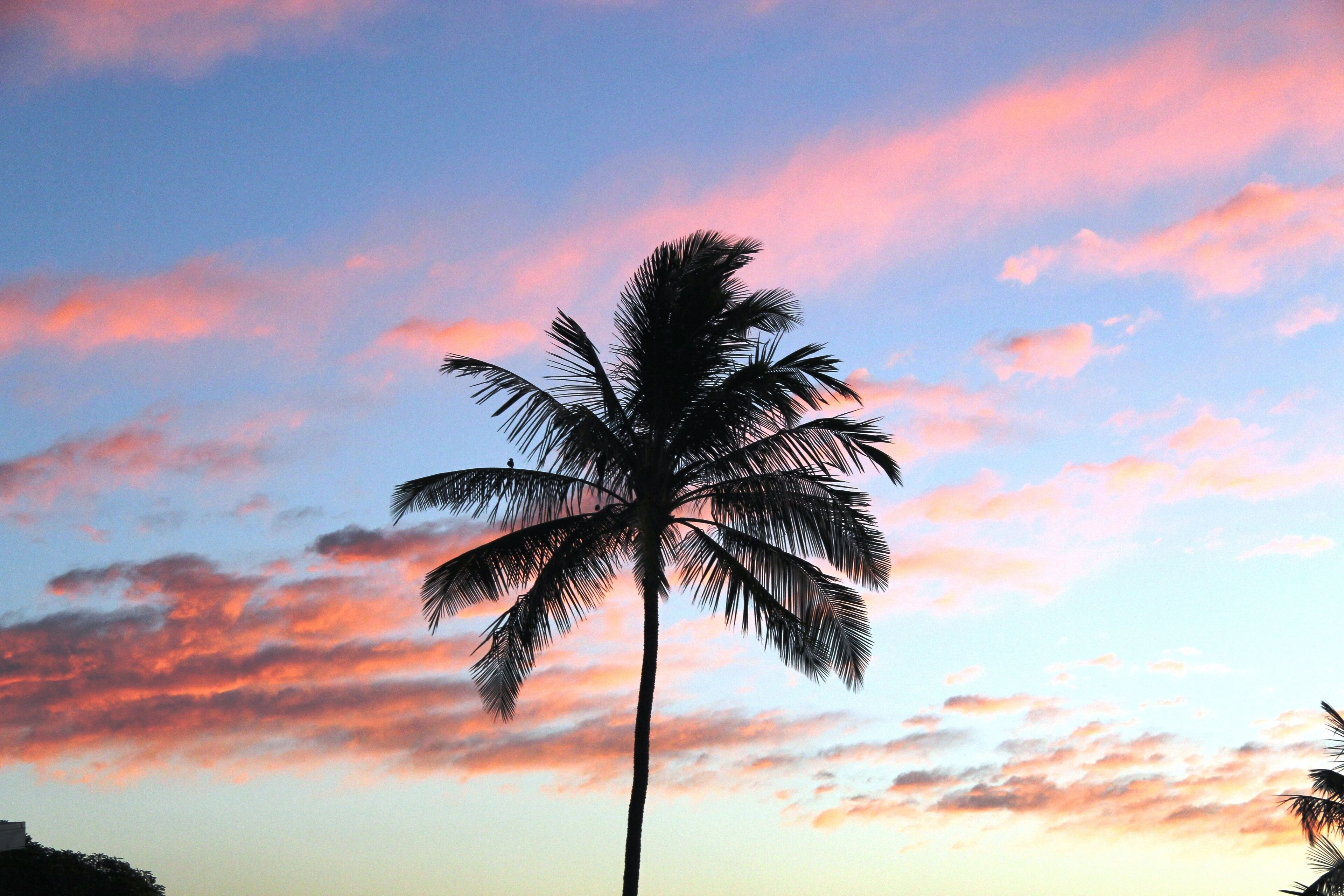Beautiful Oceanfront Home - Fantastic Views of Waikiki and Diamond Head! - Photo 29