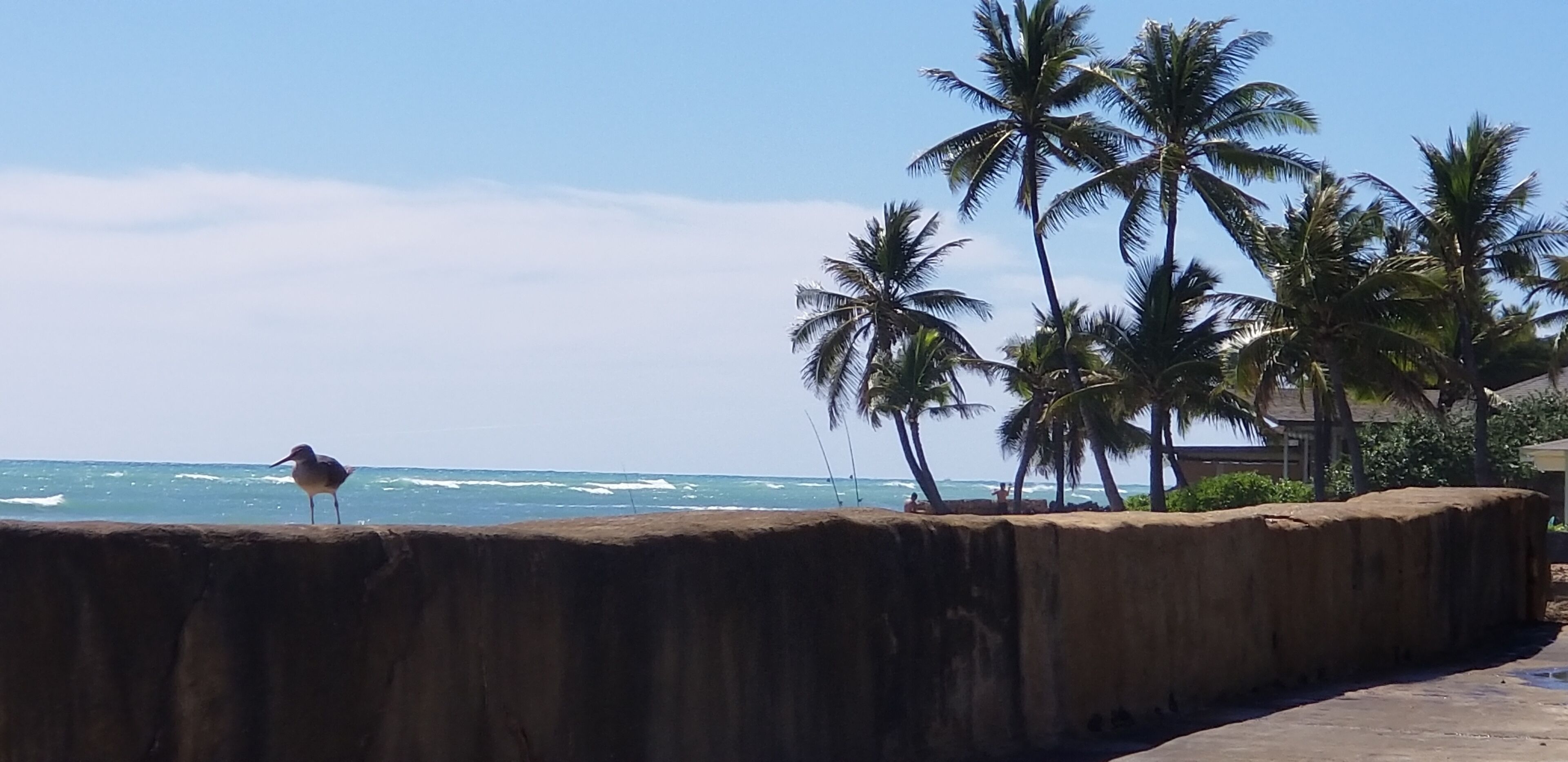 Beautiful Oceanfront Home - Fantastic Views of Waikiki and Diamond Head! - Photo 30