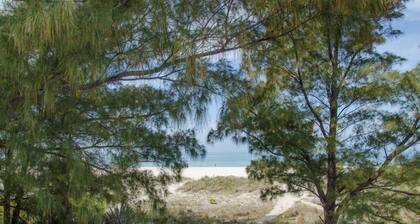 On the Beach.......step off the deck onto the sand! Wide open views of the Gulf!