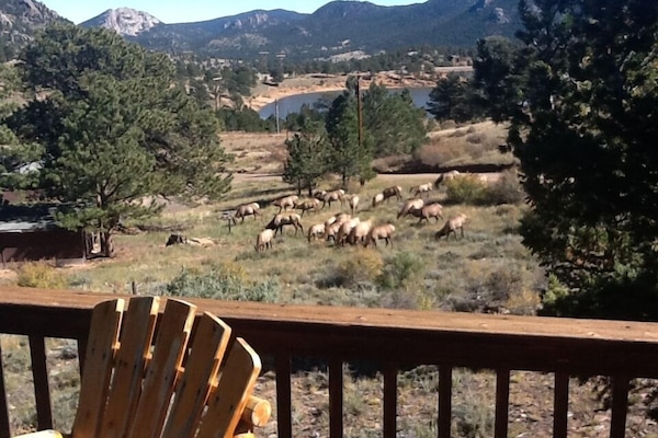 Wildlife watching from the deck on a warm and sunny October day.