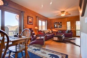 Smart TV, fireplace, DVD player, books