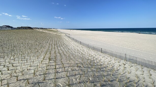 Ein Sandstrand mit Holzlattenzaun und blauem, wolkenlosem Himmel.