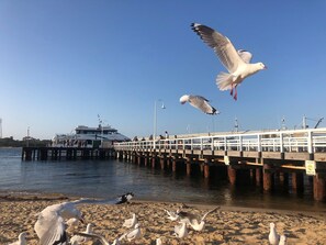 Strand