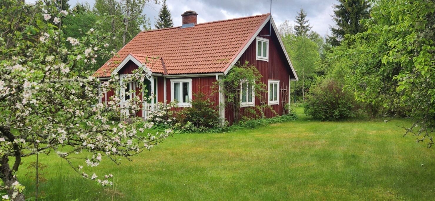 Log Cabin with Boat at Lake Åsnen, Fast Internet, 3 bedrooms, Sleeps 6, Pets OK