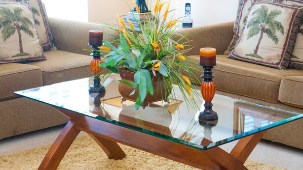 A living room with a glass-top coffee table, a potted plant, and a sofa with decorative pillows.