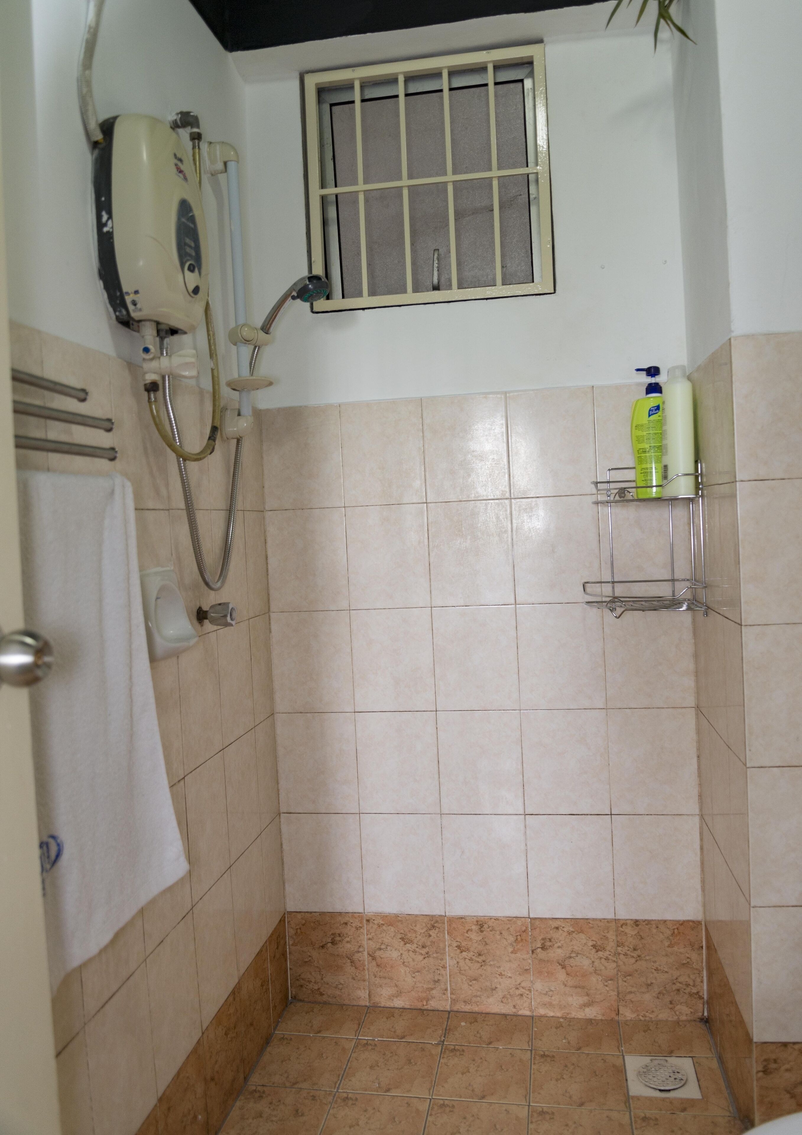 Hair dryer, shampoo, toilet paper