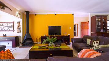 Smart TV, fireplace, DVD player, books