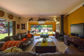 TV connectée, cheminée, lecteur de DVD, livres