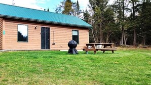 Una cabaña de madera con techo verde, una mesa de picnic y una parrilla.