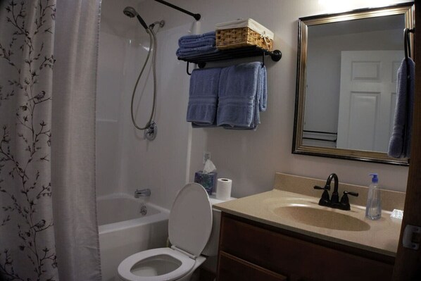 Combined shower/bathtub, hair dryer, towels