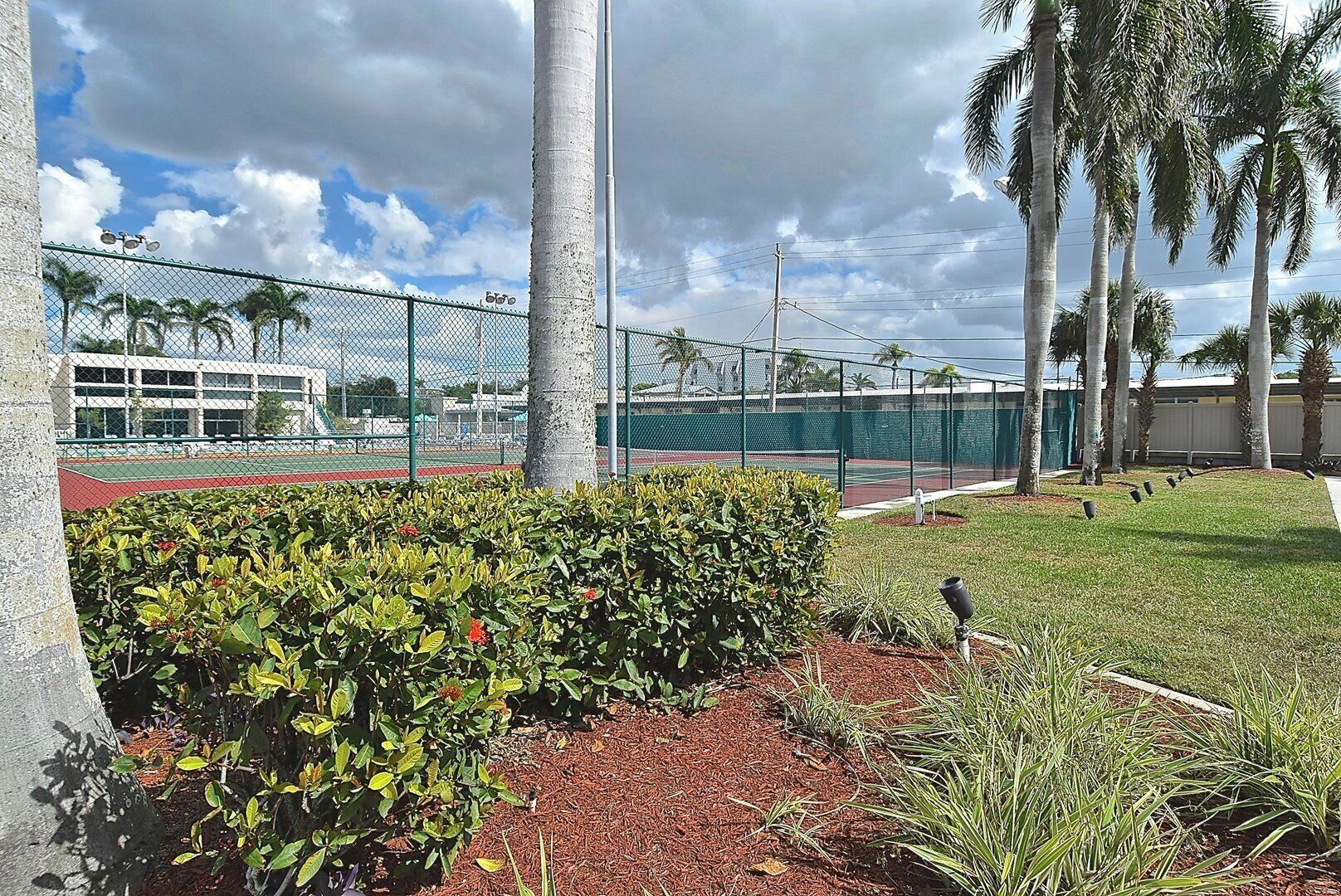 A tennis court with a chain-link fence, palm trees, and a building in the background.